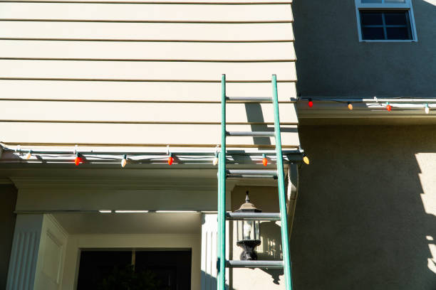 Best Custom Trim and Detailing for Siding  in Helmetta, NJ